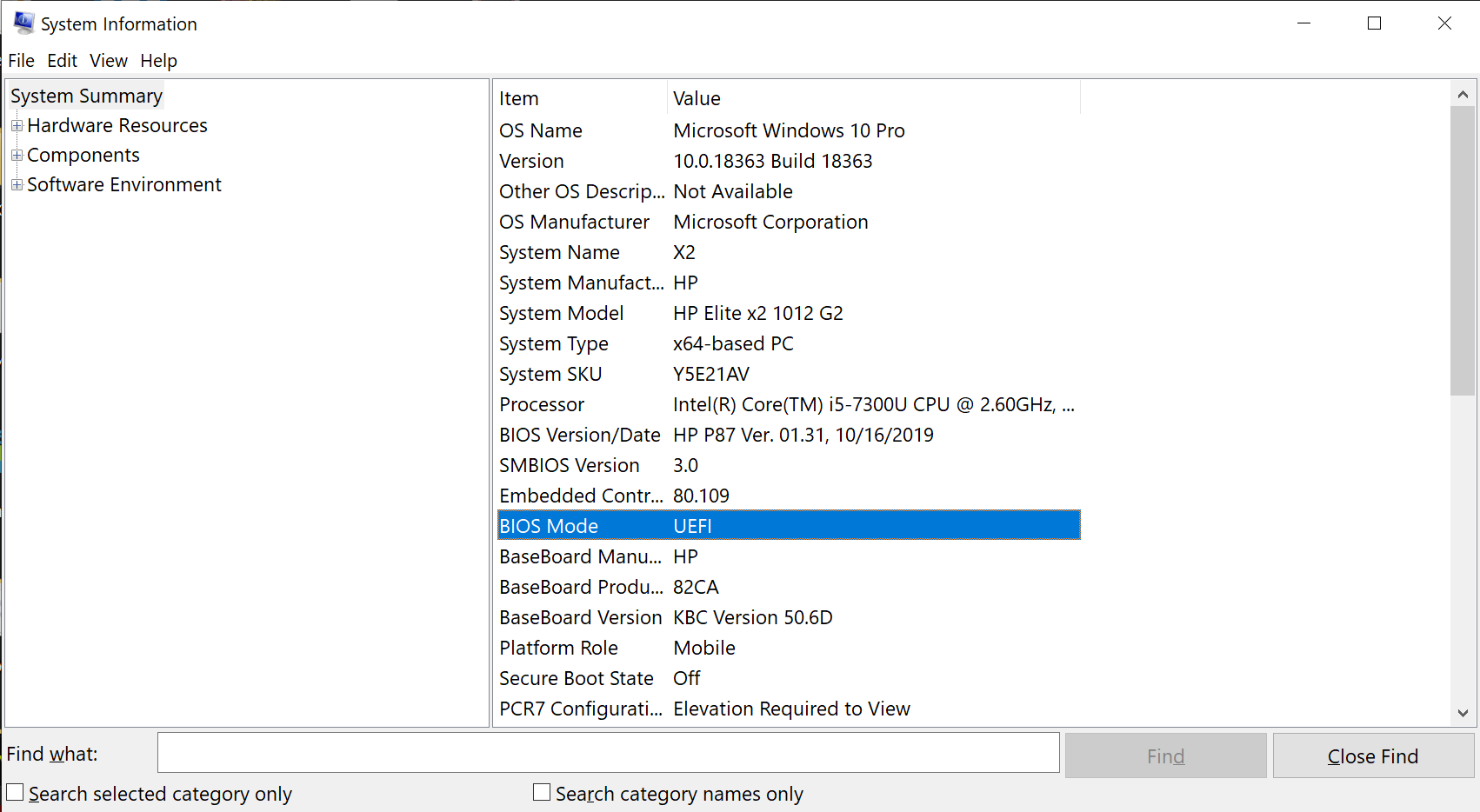 MSINFO32 Window